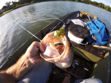 DCIM100GOPROGOPR3695.